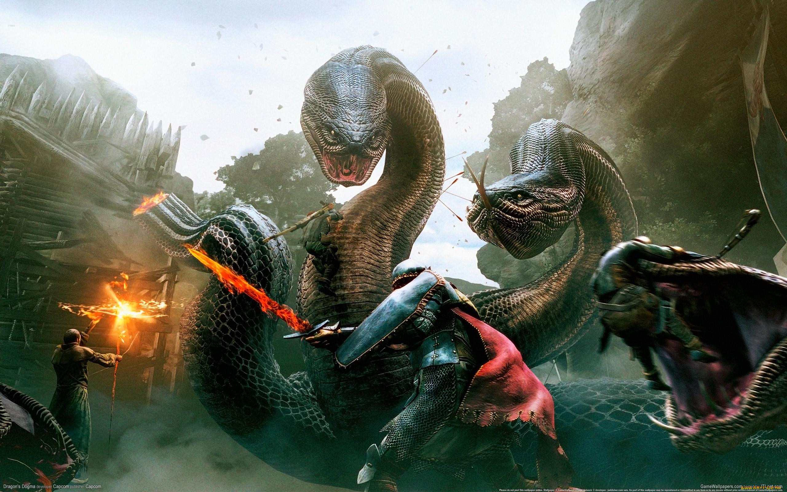 dragon`s, dogma, 522700, , , 
